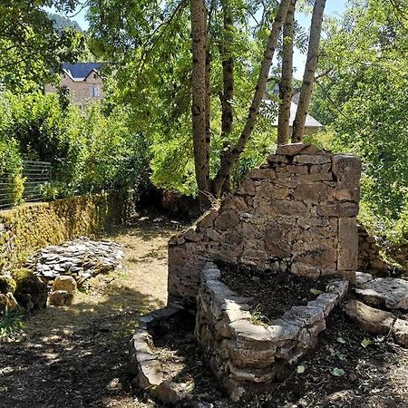 Maison Traditionnelle En Lozere Saint-Saturnin  Εξωτερικό φωτογραφία