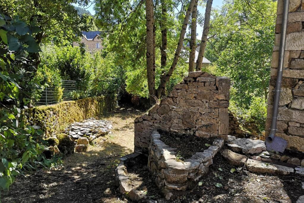Maison Traditionnelle En Lozere Saint-Saturnin  Εξωτερικό φωτογραφία