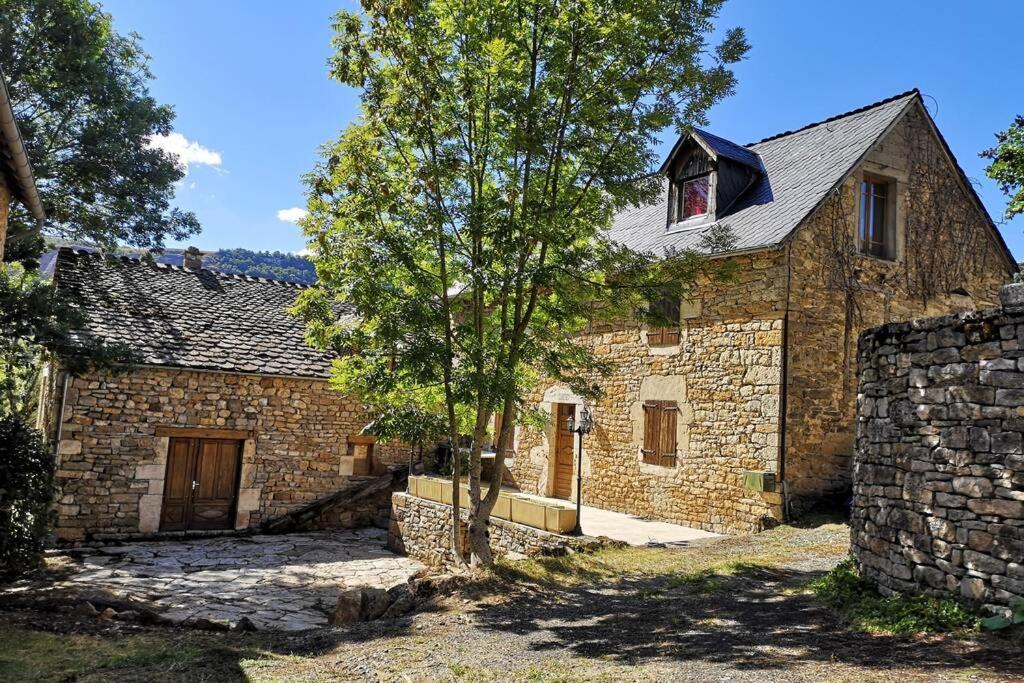 Maison Traditionnelle En Lozere Saint-Saturnin  Εξωτερικό φωτογραφία